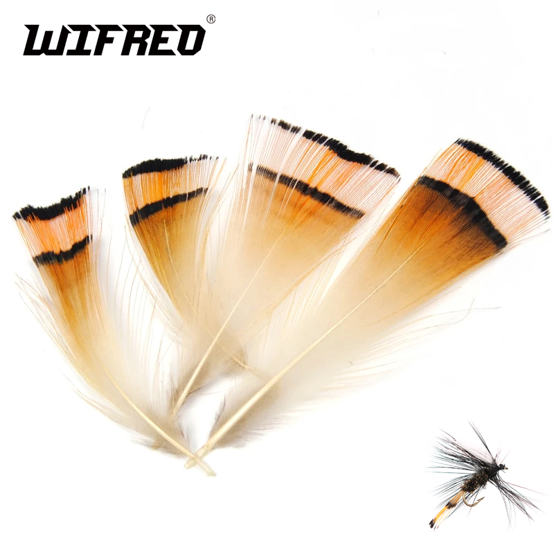 50PCS Natural Color Golden Phe - Fishing Equipment Brands recension och pris