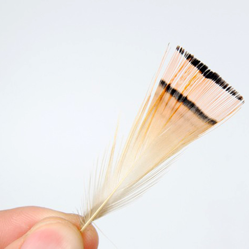 50PCS Natural Color Golden Phe - Fishing Equipment Brands recension och pris