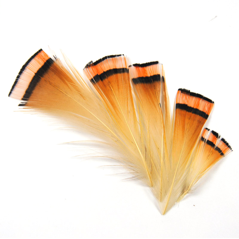 50PCS Natural Color Golden Phe - Fishing Equipment Brands recension och pris